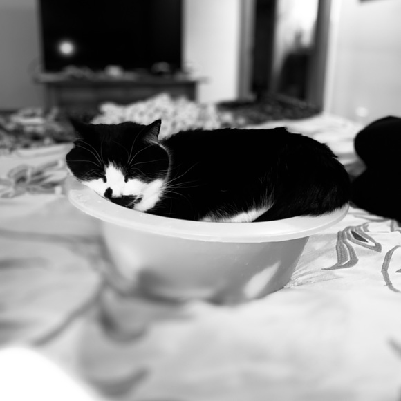 Meet your Posher, Kate - Picture 2 of 2